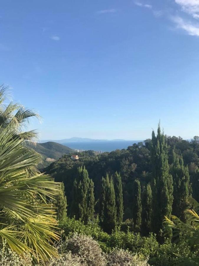 La Riggiola Bed and Breakfast Σαλέρνο Εξωτερικό φωτογραφία
